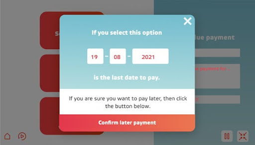 Page, where consumers can select to pay later